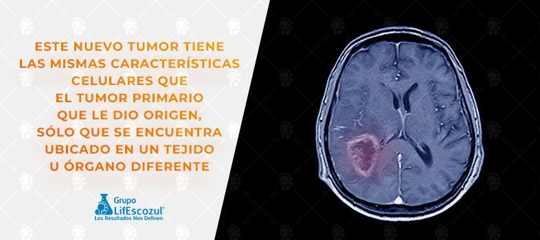 QUÉ ES LA METÁSTASIS