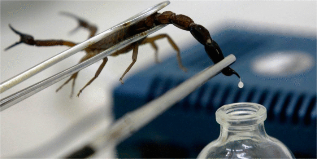 Cómo actúa el Veneno del Escorpión Azul